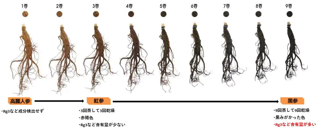 高麗人参_黒参